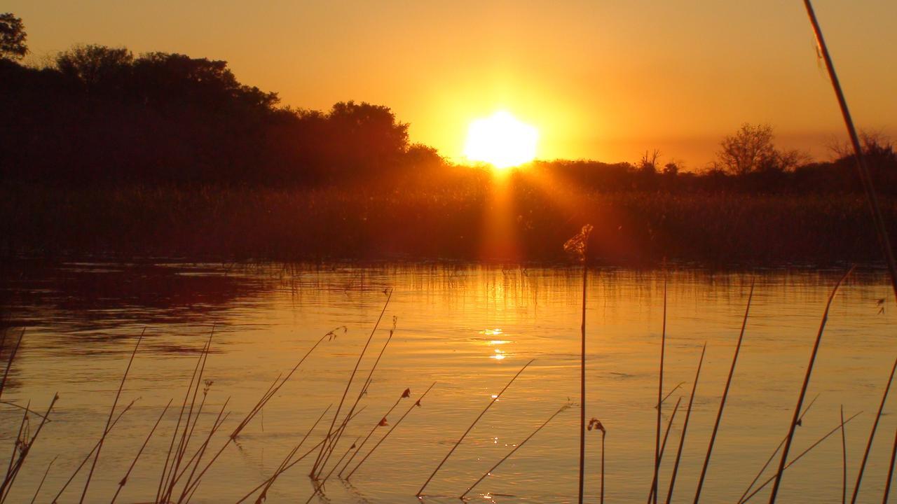 Island Safari Lodge Maun Exterior foto