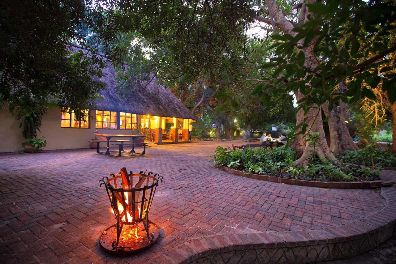 Island Safari Lodge Maun Exterior foto